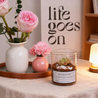 TBWIND 12pcs Small Glass Cylinder Vases for Centerpieces, 4 Inch Clear Flowers Vase for Wedding Decorations, Glass Hurricane Candle Holder for Home Decor Table Centerpiece