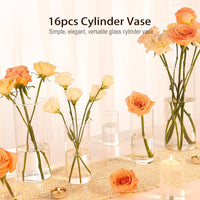 TBWIND 16 Pack Glass Cylinder Vases 4, 6, 8, 10 Inch Tall Clear Flower Vases for Table Centerpieces Wedding Decoration, Hurricane Floating Candle Holder for Party Home Decor