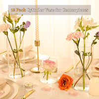 TBWIND 12Pcs Glass Cylinder Vases 8 Inch Tall Clear Flower Vases for Centerpieces Wedding Decoration, Hurricane Floating Candle Holder for Party Table Home Decor
